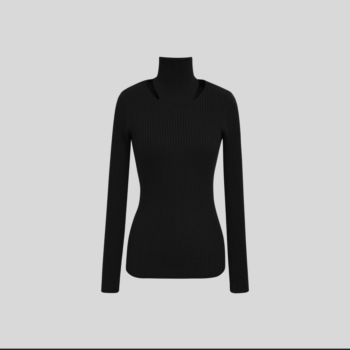 Brassage Apertura Turtleneck Rib Knit Top